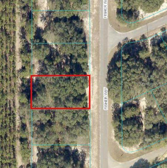 TBD Fisher Way - Photo 1