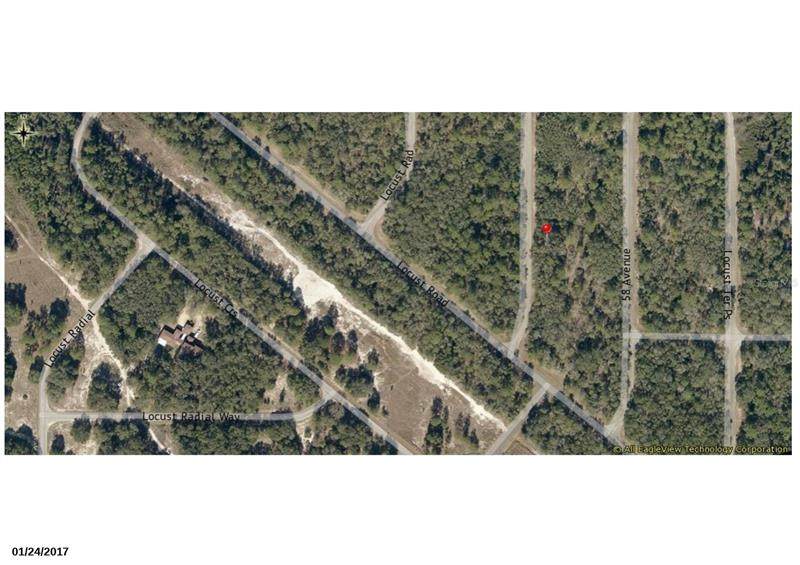 00 Locust Ter Trail - Photo 1