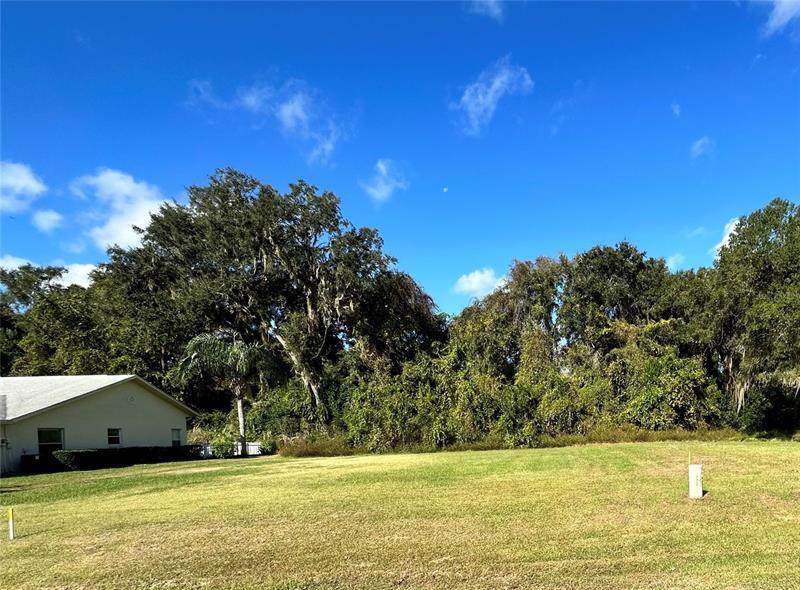 2952 Chandler Drive - Photo 1
