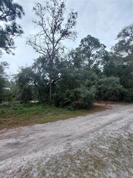 10155 158 Lane - Photo 1
