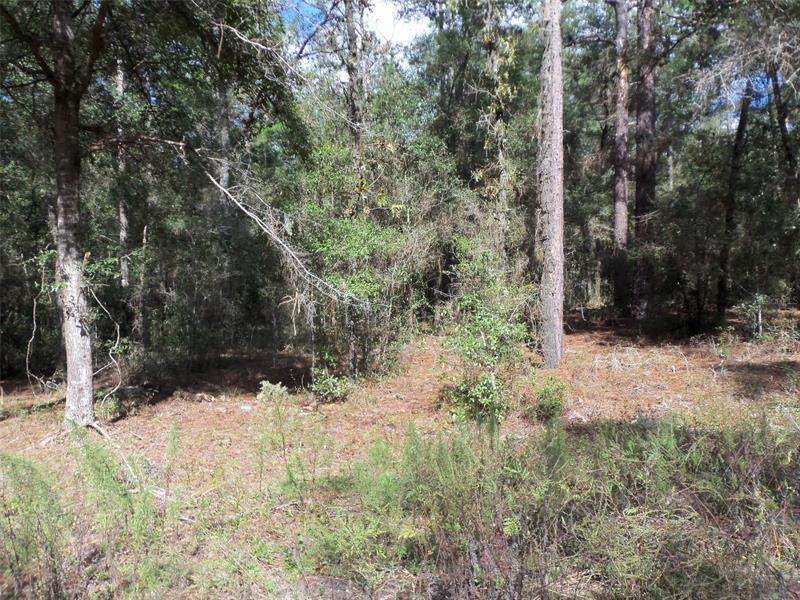 Lot 14 28TH Lane - Photo 1