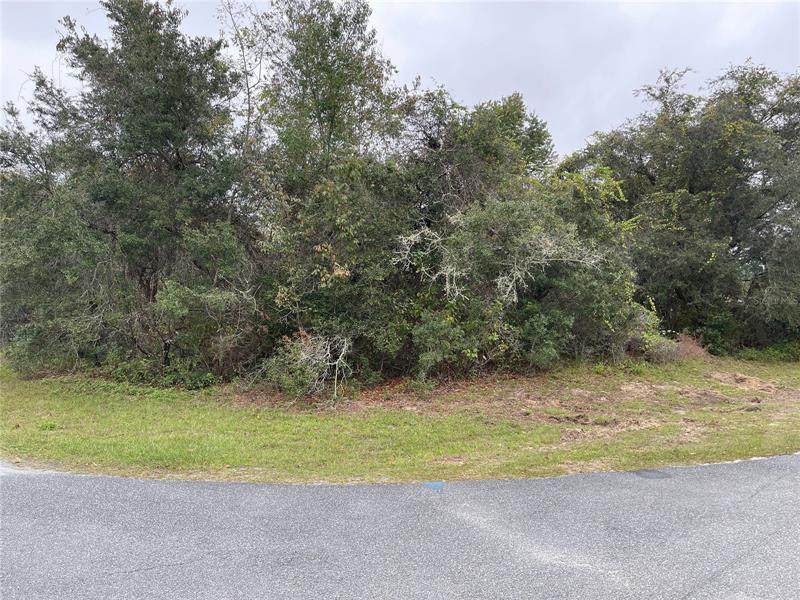 0 147 PLACE Road - Photo 1