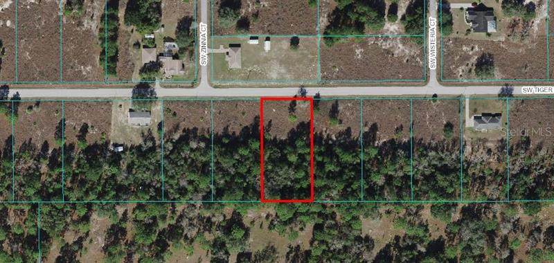 0 Tiger Lake Boulevard - Photo 1