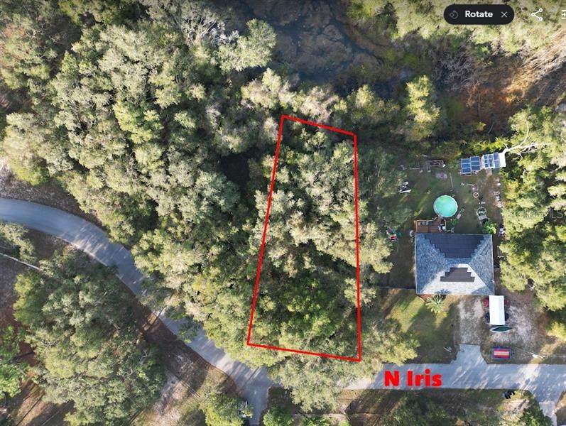 6406 Iris Drive - Photo 1