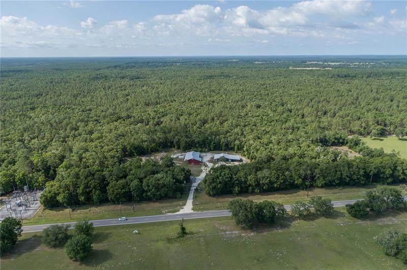 11374 Highway 484 - Photo 1