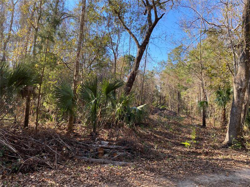 0 Nw Hwy 320 - Photo 1