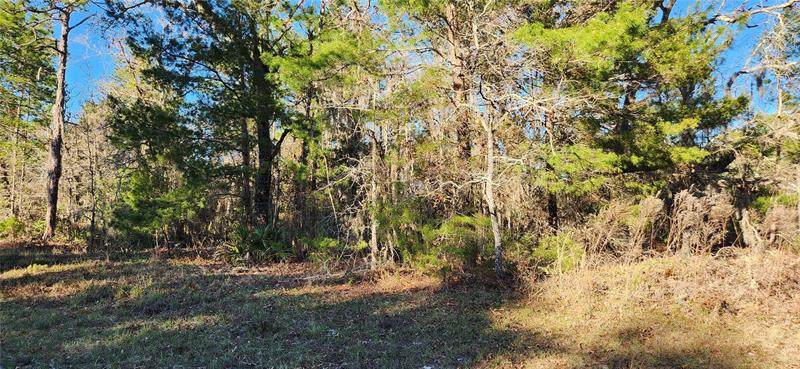 TBD 55TH COURT Road - Photo 1