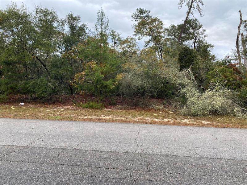 0 Marion Oaks Lane - Photo 1