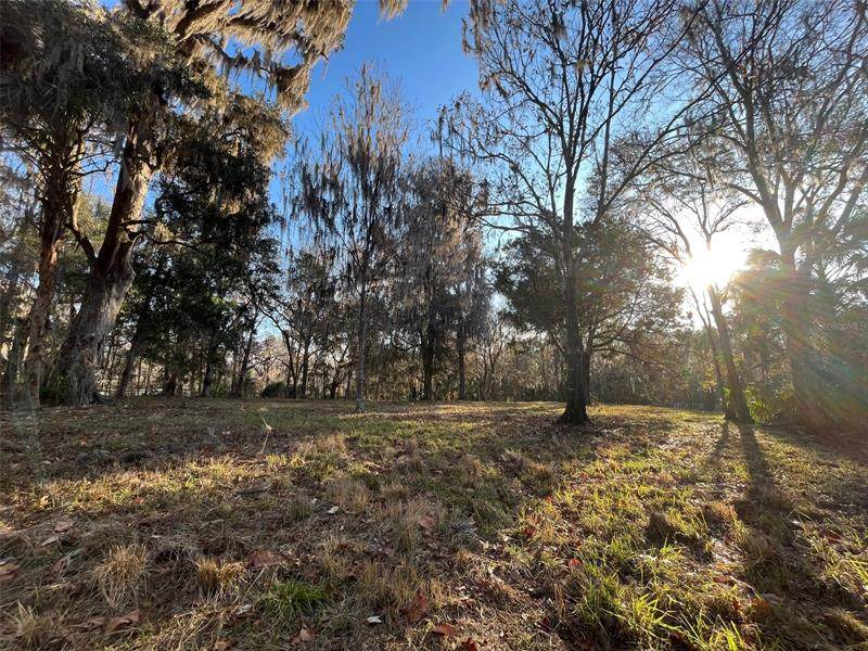 12949 30TH Court - Photo 1