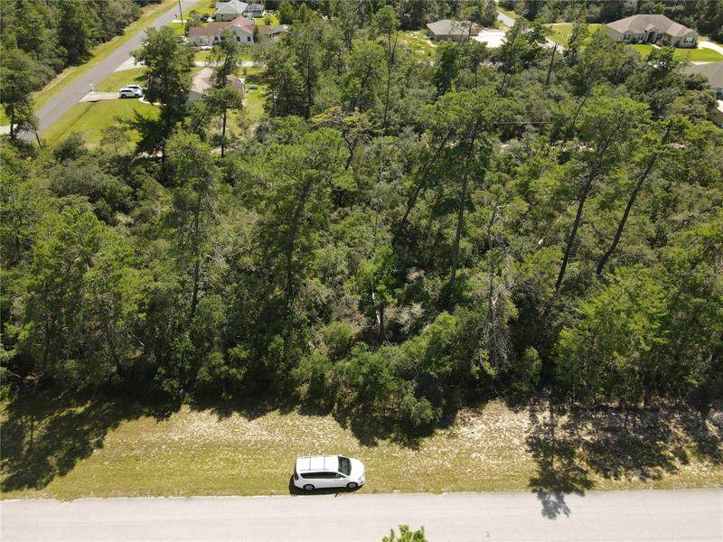 00 Marion Oaks Ln - Photo 1