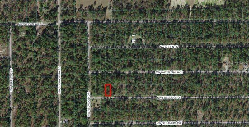 Lot 63 Foxglove Lane - Photo 1