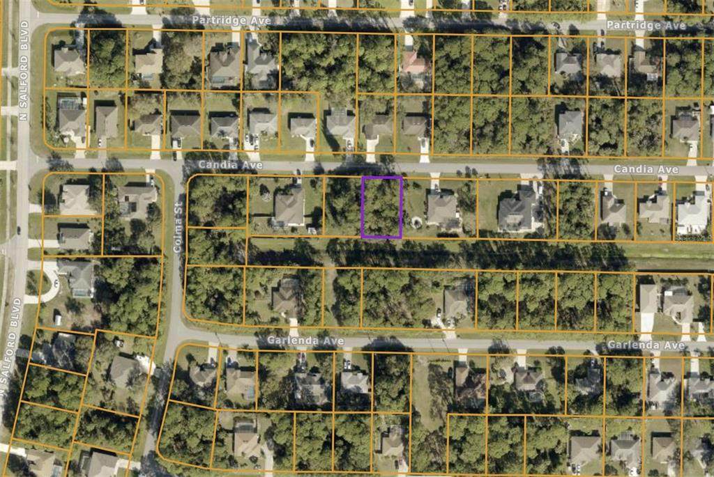 00 Candia Avenue - Photo 1