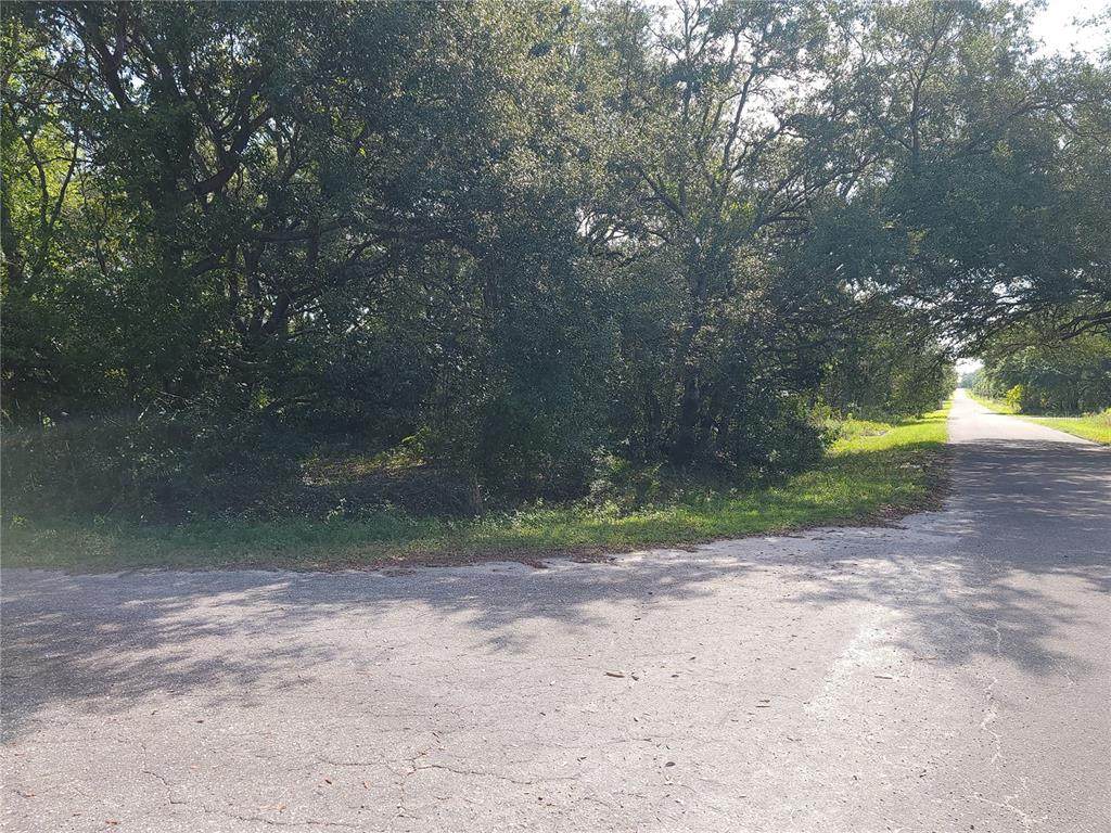 Lot 20 Fisher Lane Pass - Photo 1