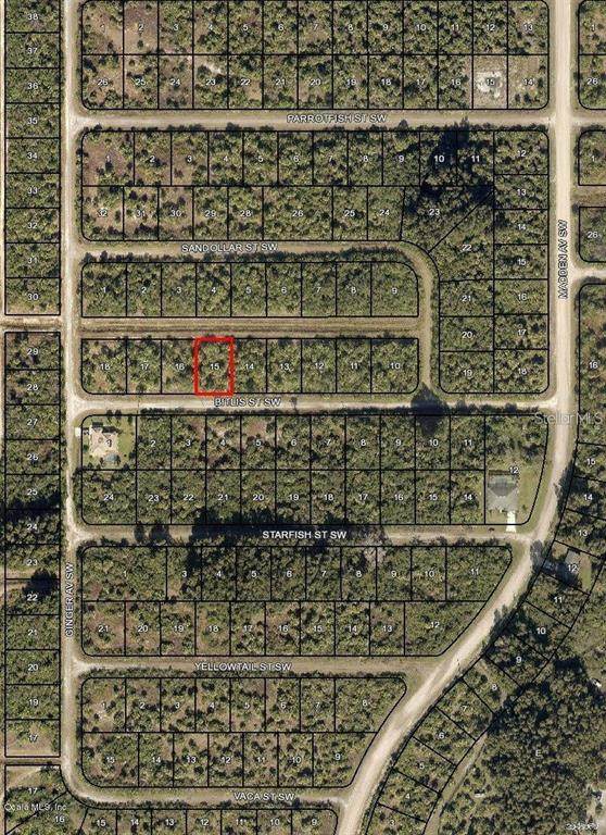 871 Bitlis Street - Photo 1