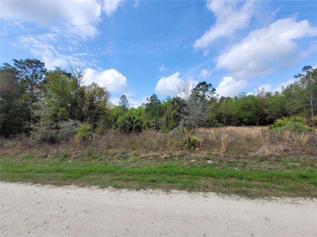 8862 Delene Terrace - Photo 1