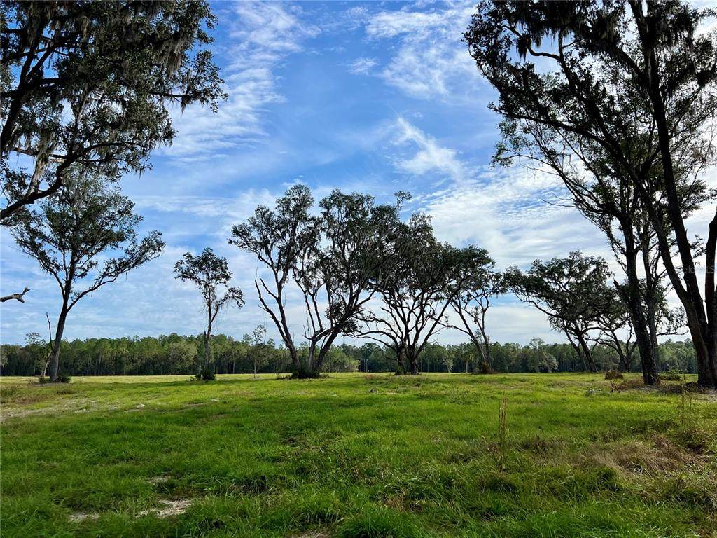  150th Avenue - Photo 1