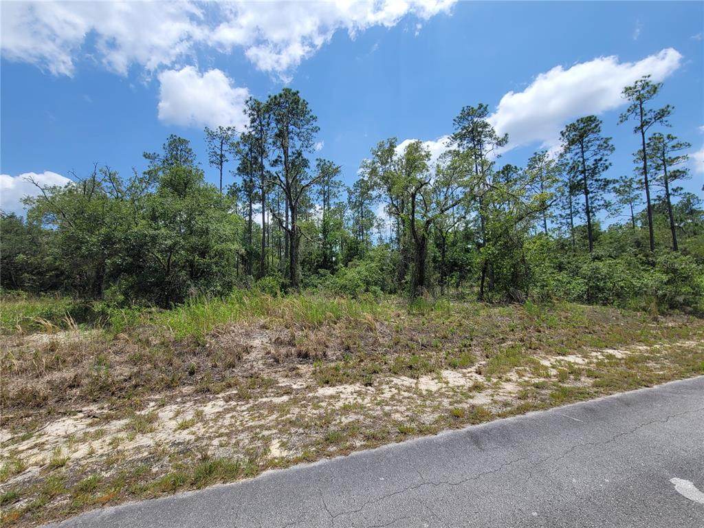 TBD Barnacle Drive - Photo 1