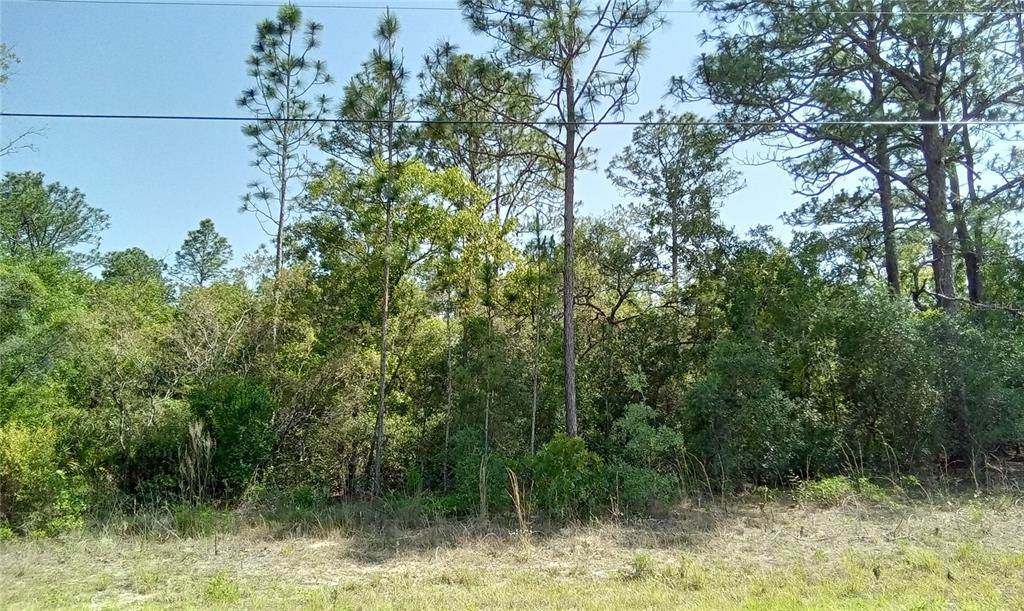 3870 Fountain Lane - Photo 1