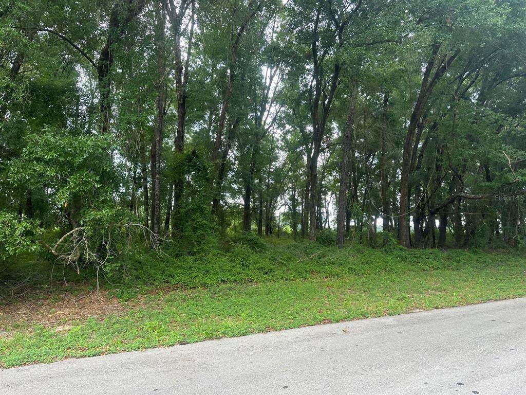 0 168TH Loop - Photo 1