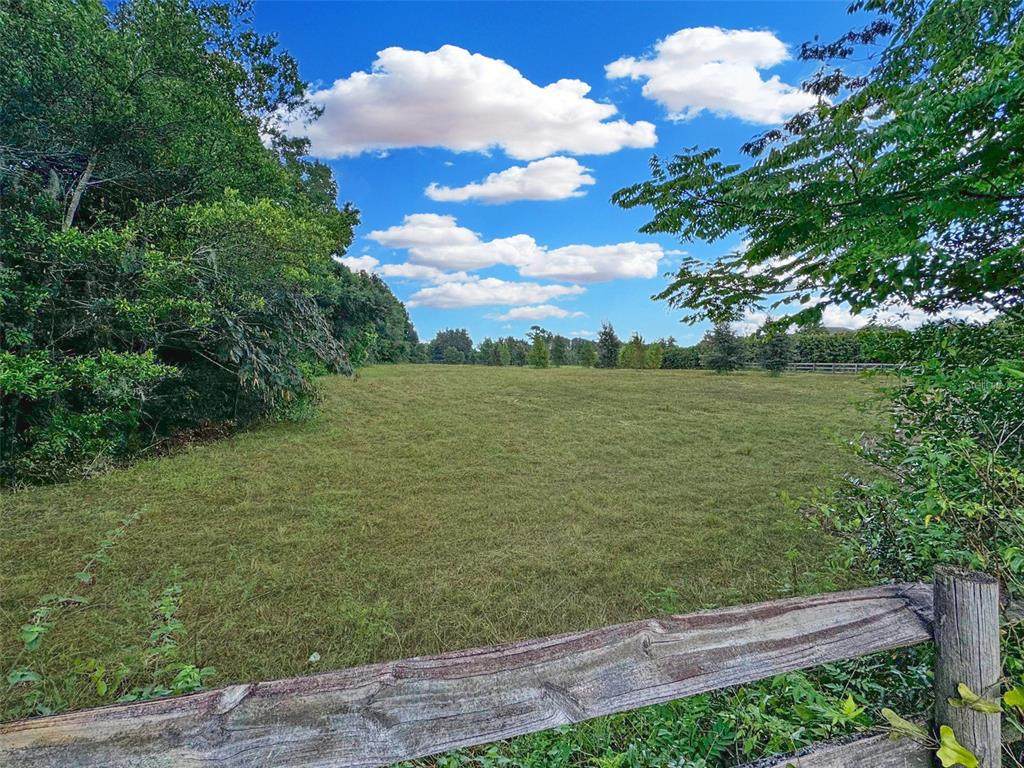 TBD Magnolia Avenue - Photo 1