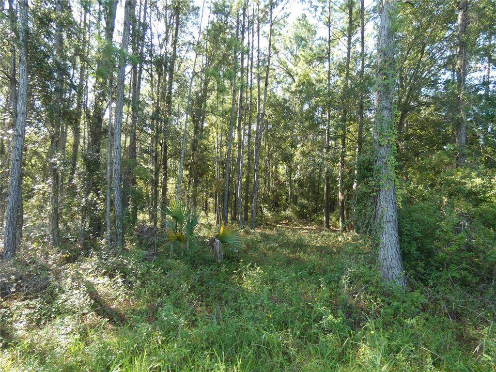 00 Hwy 19 - Photo 1