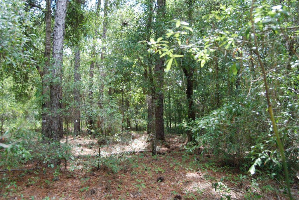 149TH CT Road - Photo 1