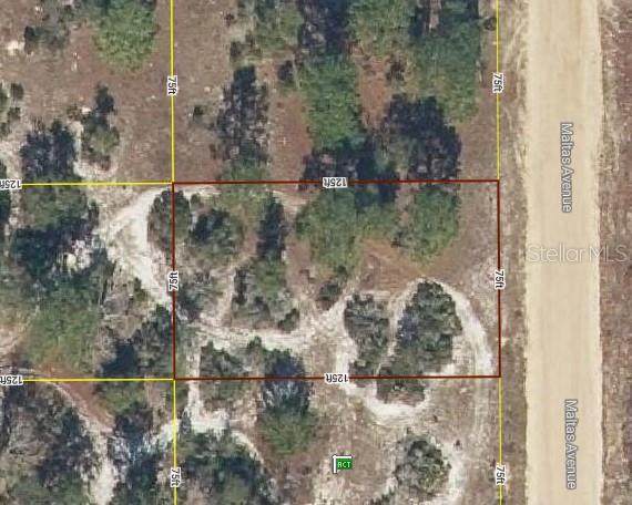 Lot 23 Maltas Avenue - Photo 1
