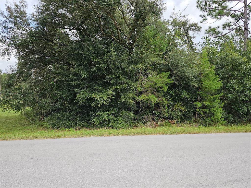 Lot 13 156TH Court - Photo 1