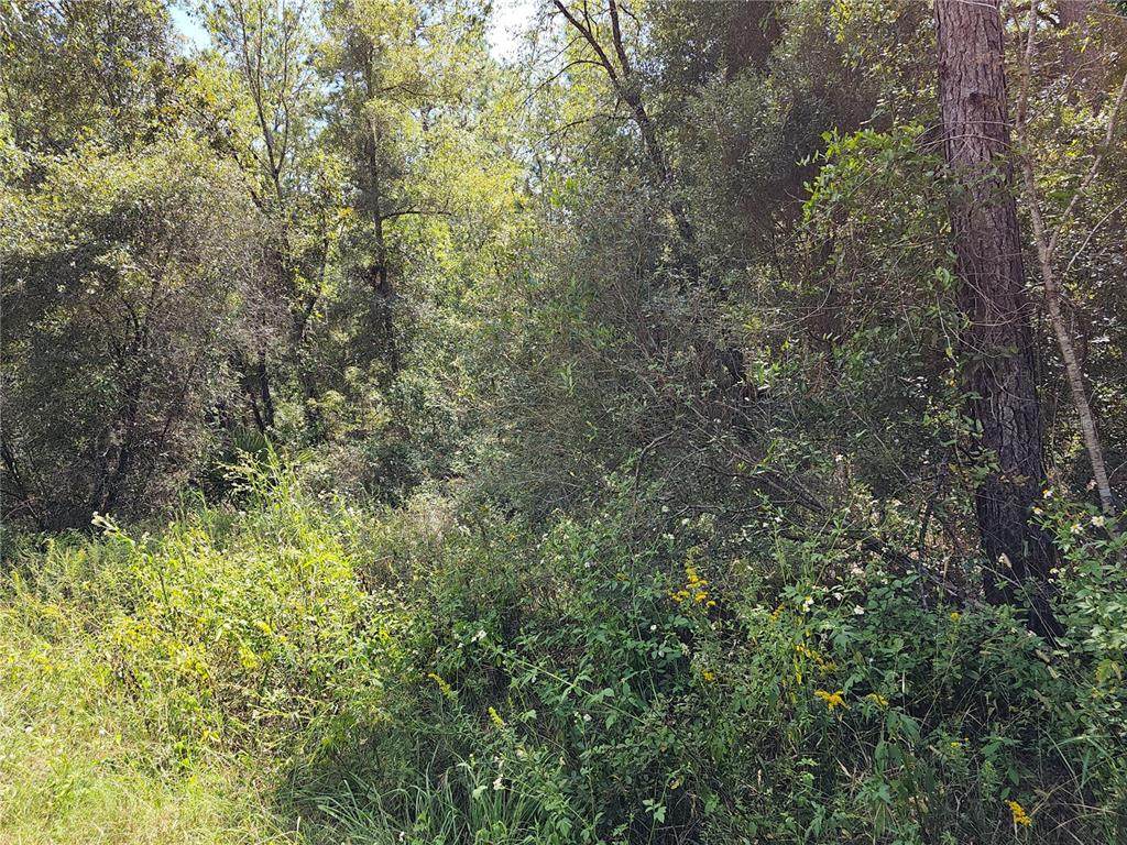 Lot 14 156TH Court - Photo 1