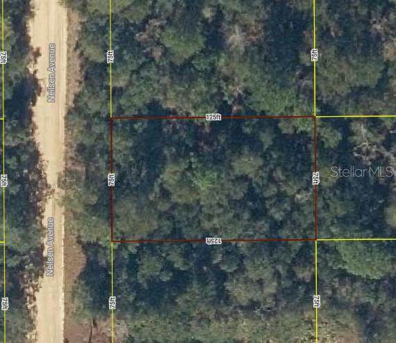 Lot 17 Neilsen Avenue - Photo 1