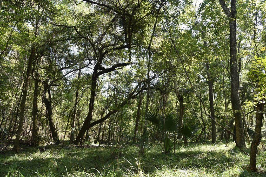  24TH Avenue - Photo 1