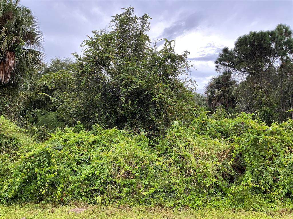 10590 77th Street - Photo 1