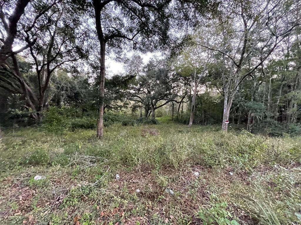 TBD 128TH Street - Photo 1