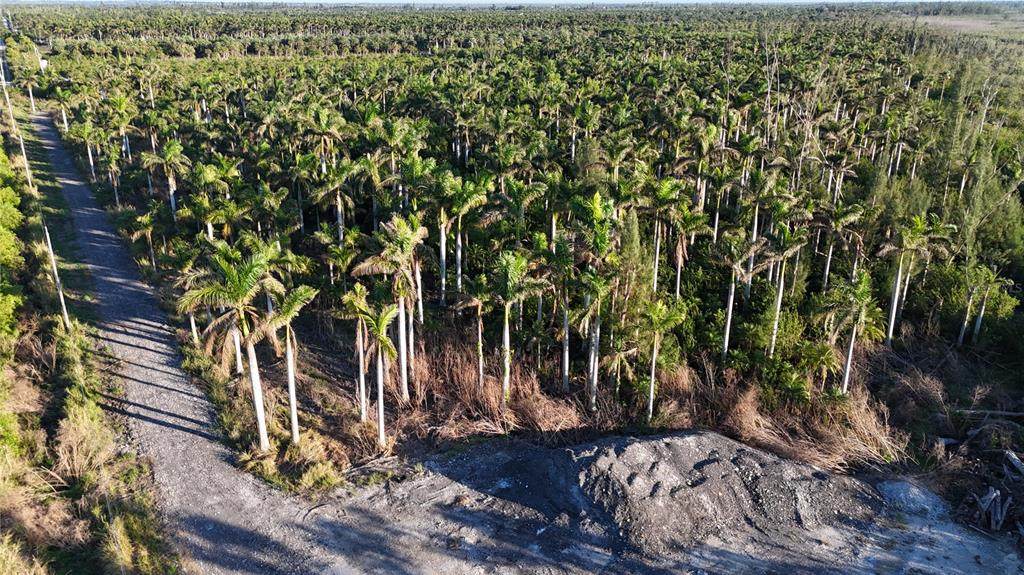 12990 Samadani Lane - Photo 1