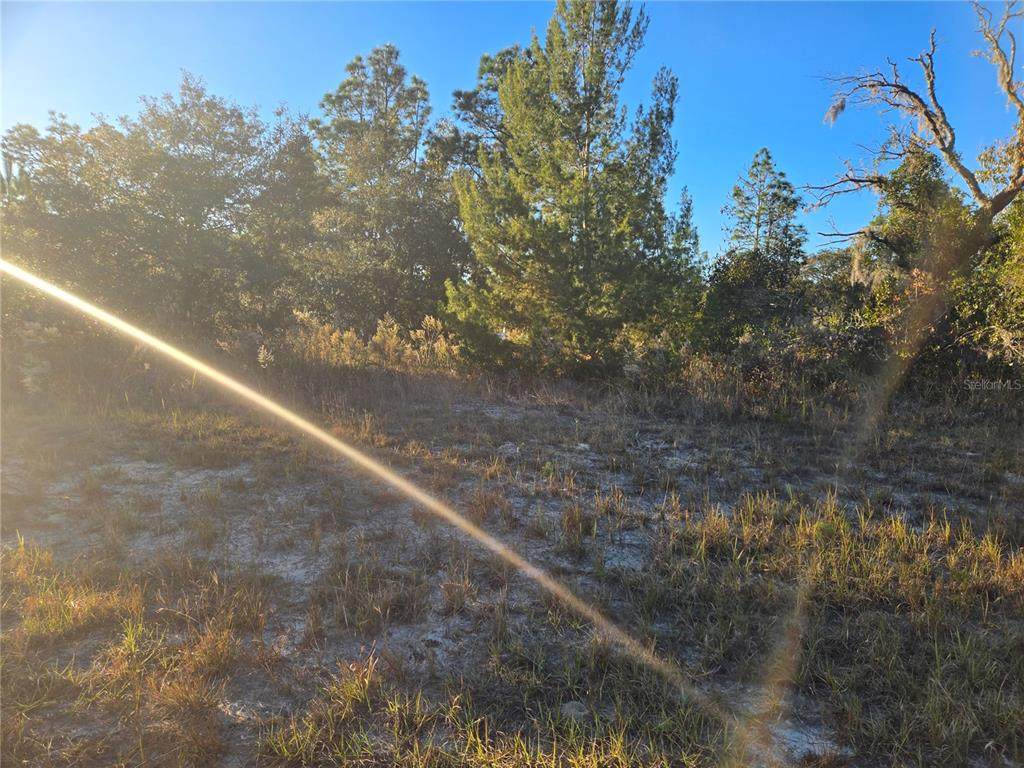 TBD 88 Court - Photo 1