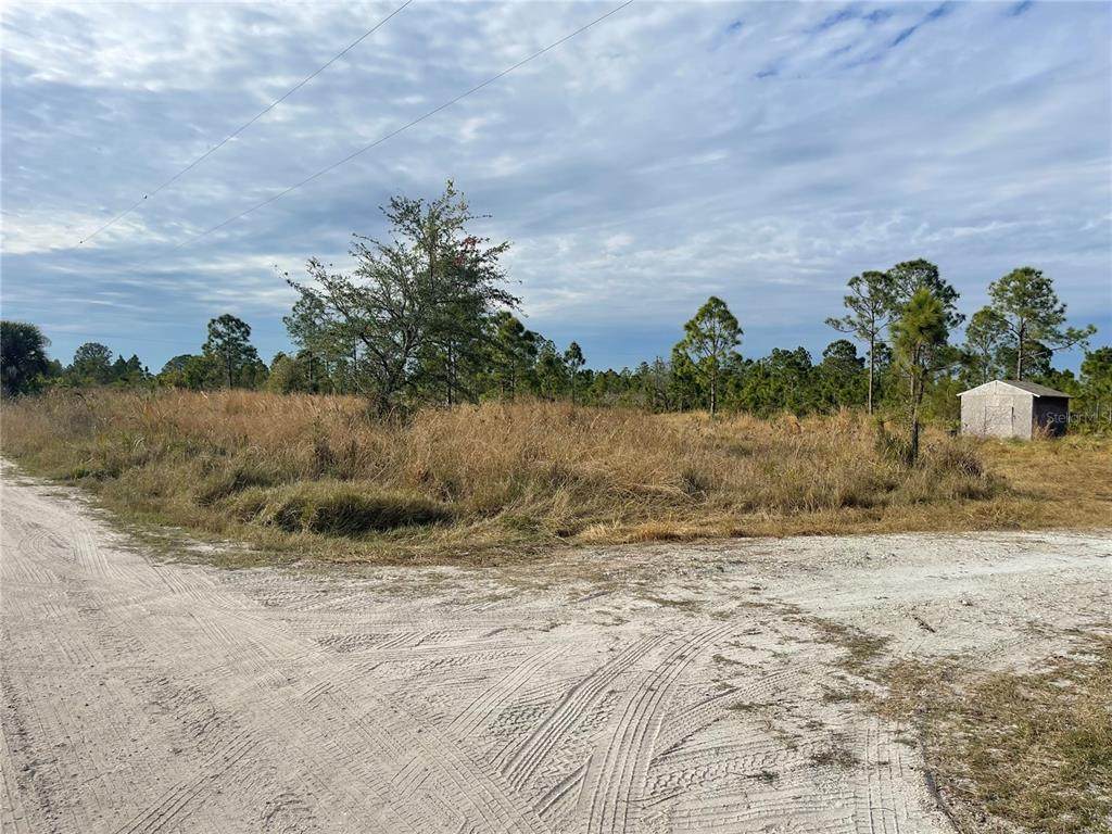 29290 Clara Drive - Photo 1