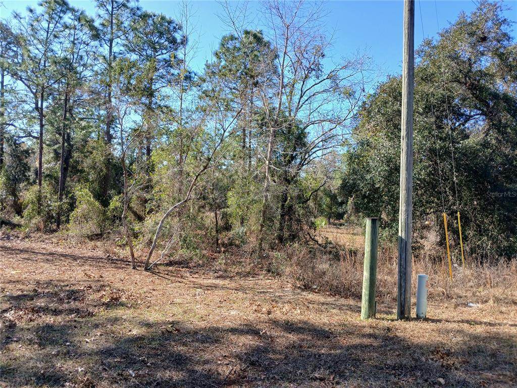 5490 Mannis Court - Photo 1