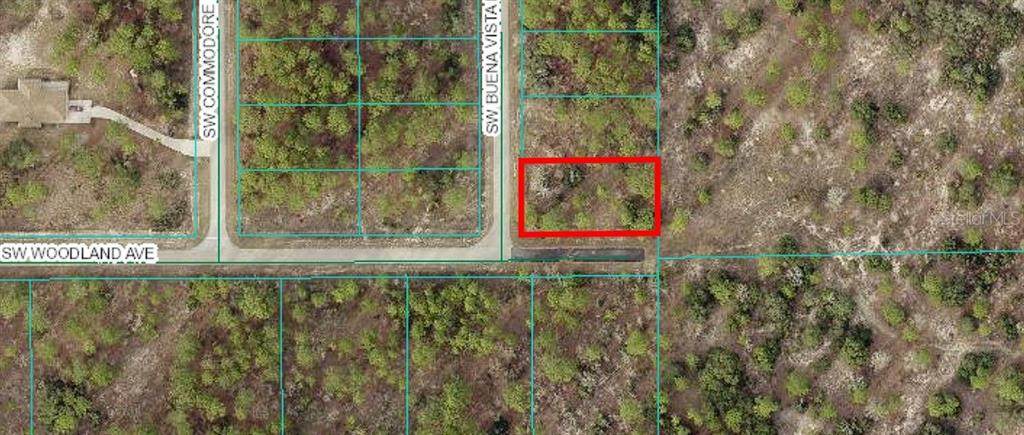 00 Buena Vista Road - Photo 1