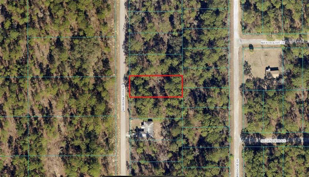 00 Buena Vista Road - Photo 1