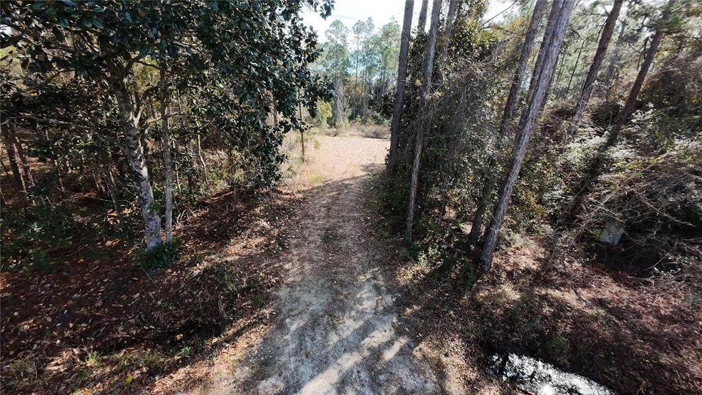 LOT 6 BLOCK 115 8TH Street - Photo 1