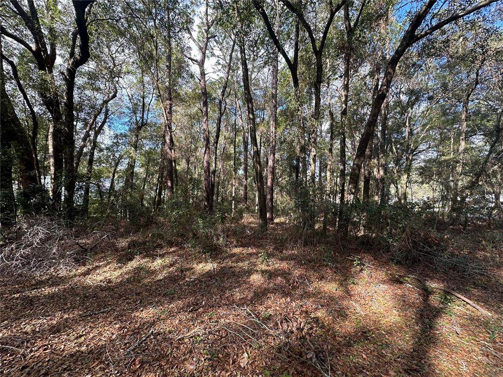 0000 Sw 189Th Ct. Dunnellon Fl - Photo 1