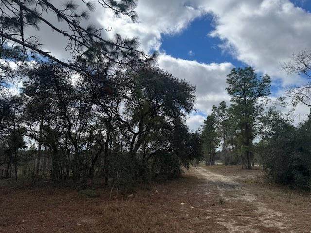 LOT B State Road 121 - Photo 1