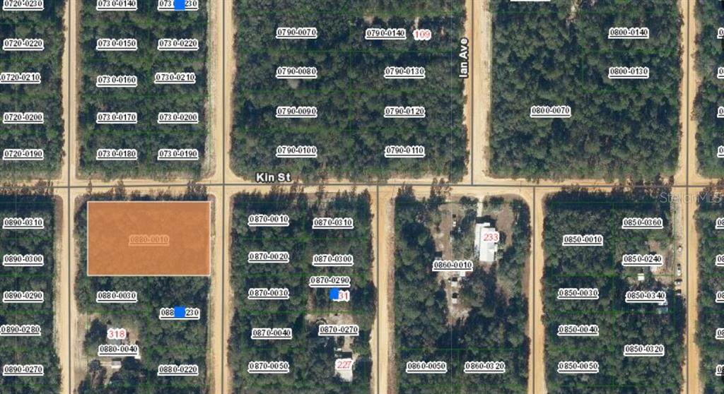 TBD Theresa Avenue - Photo 1