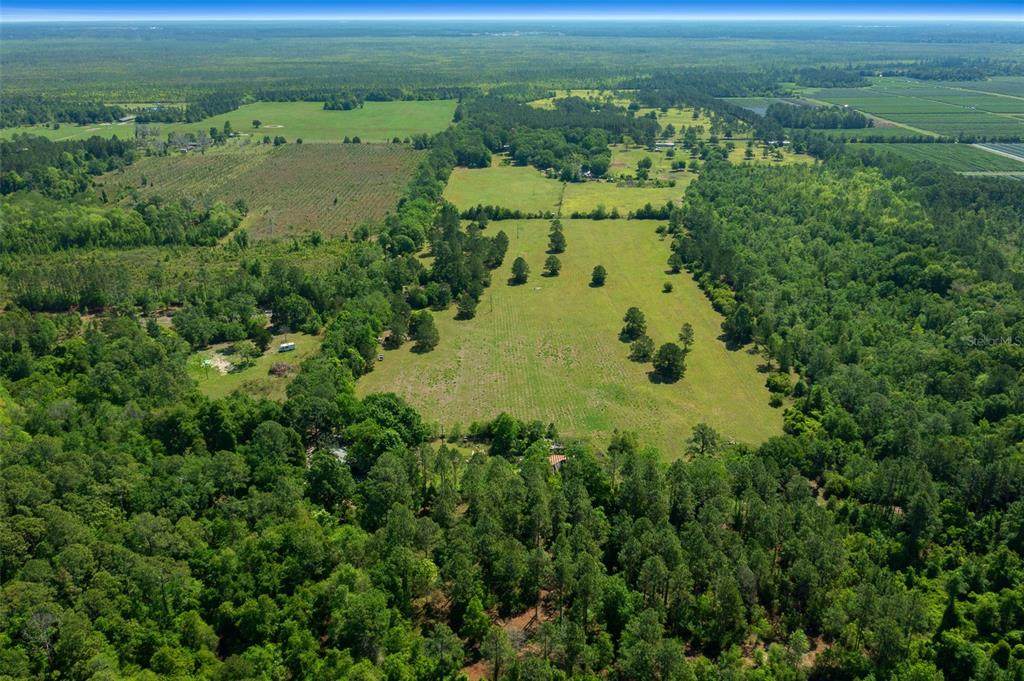 16324 County Road 1471 - Photo 1