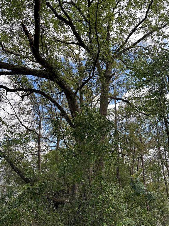 00 193 Circle - Photo 1