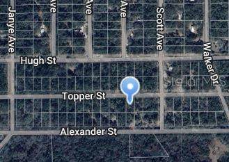 00 Topper Street - Photo 1