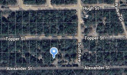 Alexander Street - Photo 1