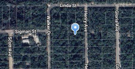 Henry Avenue - Photo 1