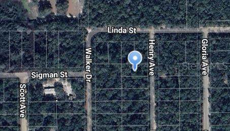 Henry Avenue - Photo 1
