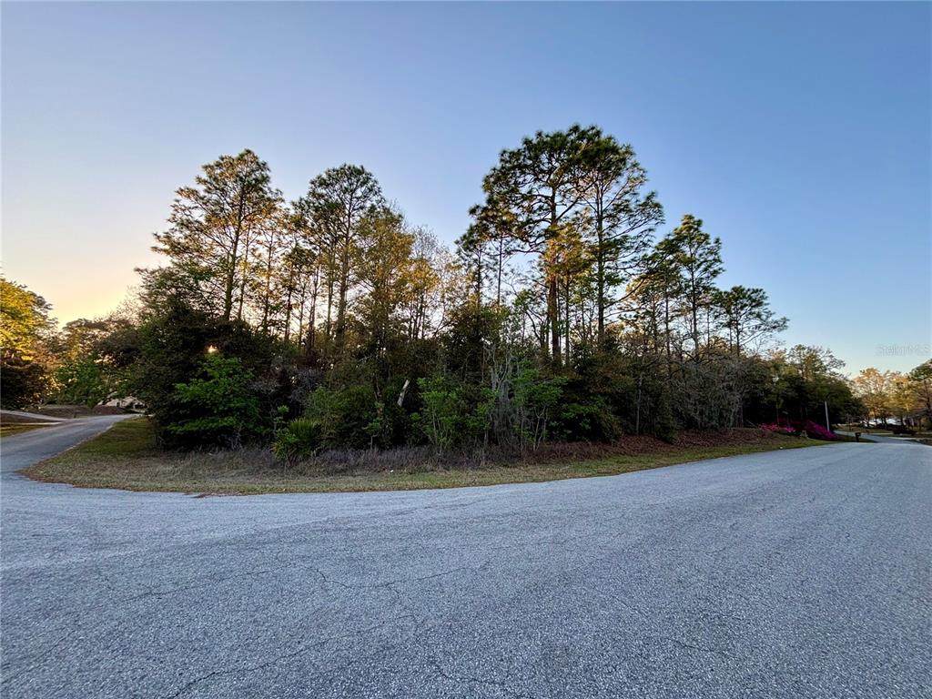 Lot 33 97 Place - Photo 1